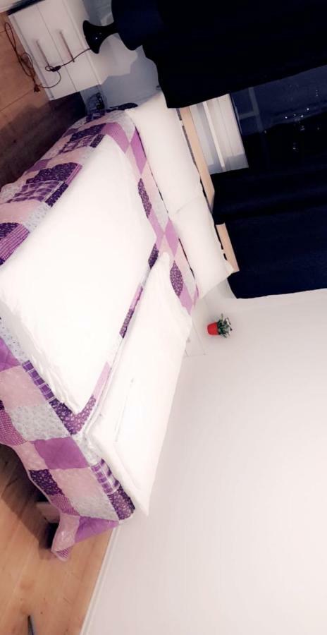 Sehr Schoene Drei Zimmer Deluex Wohnung In 辛德尔芬根 外观 照片